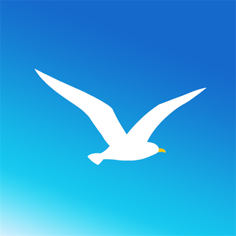 海鸥加速器官方下载正版